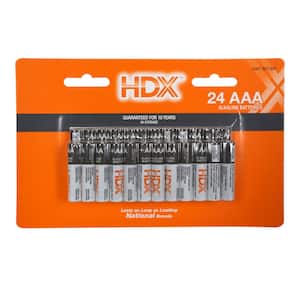 AAA Alkaline Battery (24-Pack)
