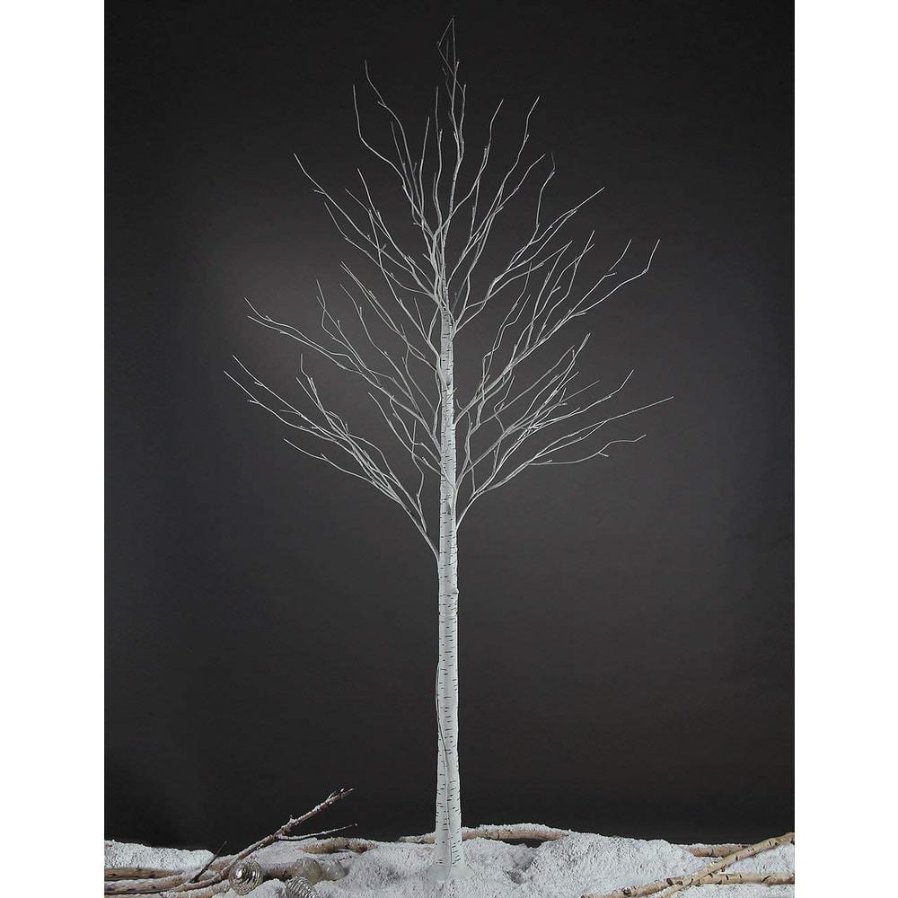 Birch Tree Personalized Wedding Photo Album- Large