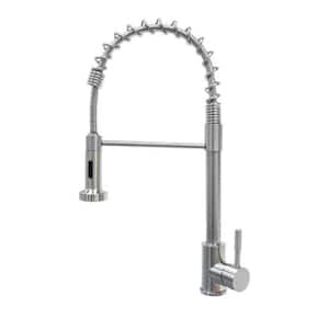 Coiled Spring Sprayer Faucet in Stainless Steel