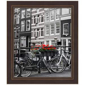 Opening Size 20 in. x 24 in. Lara Bronze Wood Picture Frame