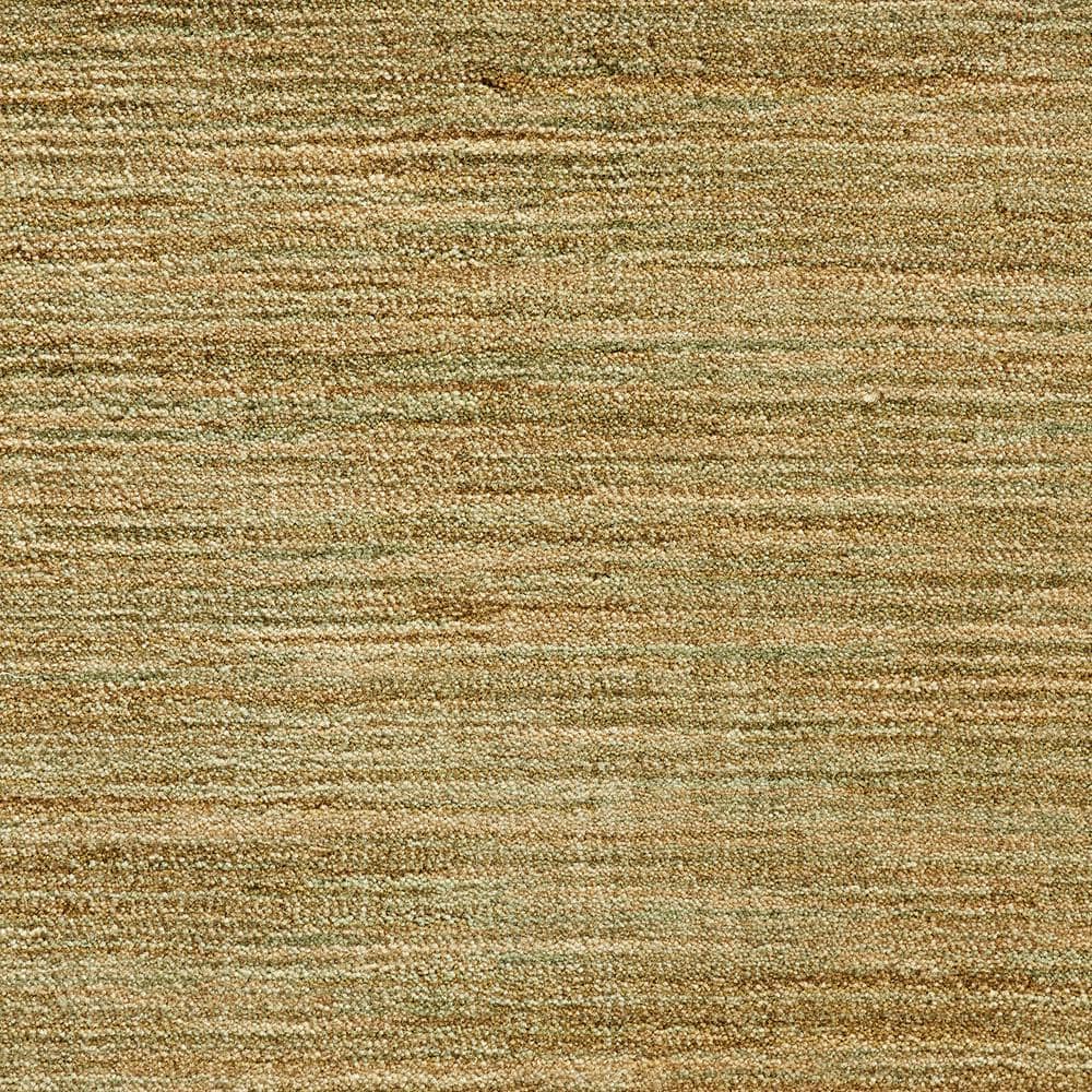 6 in. x 6 in. Texture Carpet Sample - Suspicion - Pasture price history on PriceWatchPro