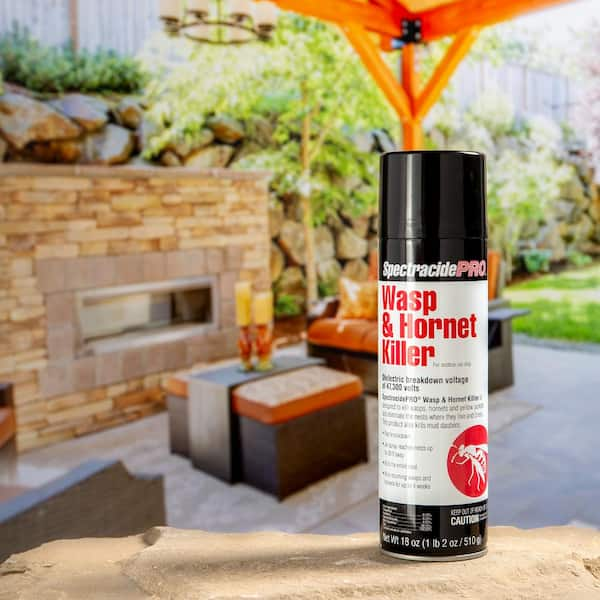 Spectracide Pro Pro 18 Oz Wasp And Hornet Killer Aerosol 2 Pack Hg The Home Depot