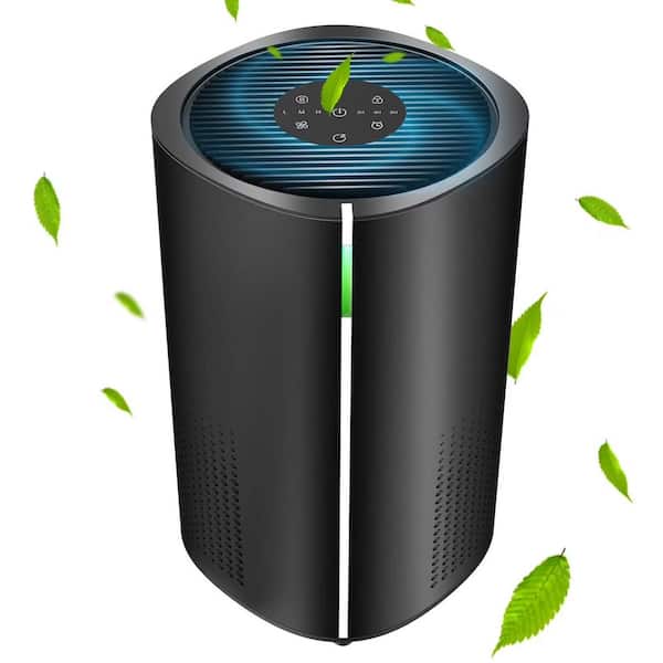 258 sq. ft. HEPA Room Air Purifier in Black with Timer, 4-Speeds, Clean 99.97%, 147CFM CADR