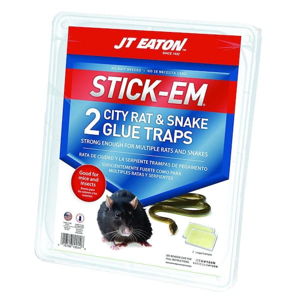 JT Eaton Stick-Em City Rat and Mouse Glue Trap (6-Pack) 100N-6 - The Home  Depot