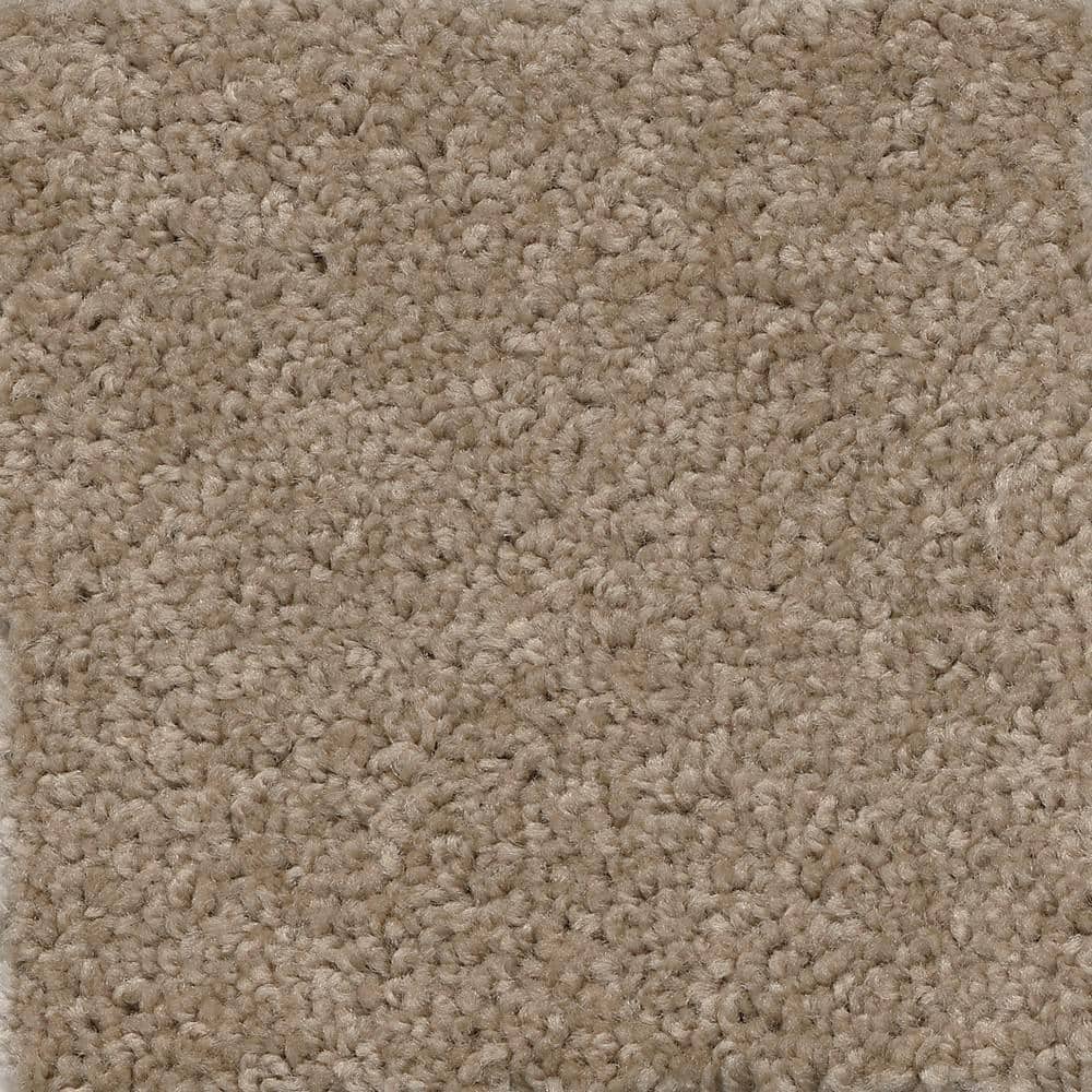 8 in. x  8 in. Texture Carpet Sample - Matchless -Color Prairie price history on PriceWatchPro