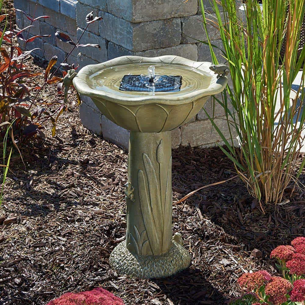 Olive Green Concrete Solar Birdbath with Frog Design