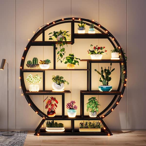 pot money plant Chinese Money Plant | Pilea Peperomioides | Buy Plants Online | Leaf Envy main image 1