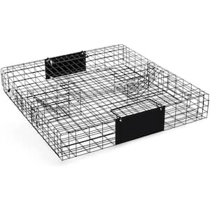 Havahart X-Large 1-Door Professional Humane Catch-and-Release Live