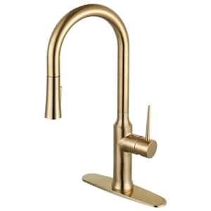 New York Single-Handle Pull Down Sprayer Kitchen Faucet in Brushed Brass