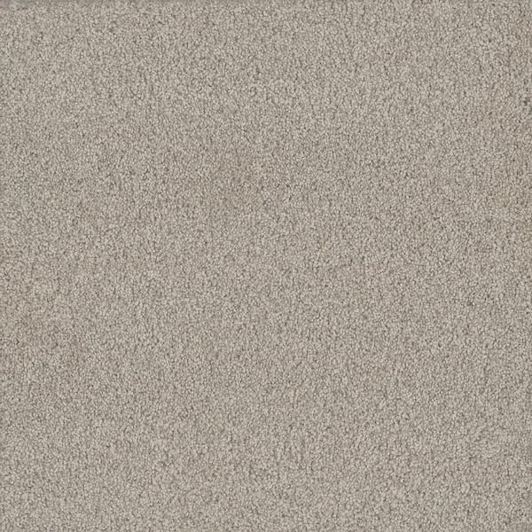 Meringue I-Glossy White 46 oz. SD Polyester Texture Installed Carpet