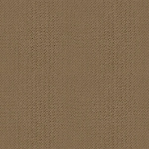 Lightbourne - Chestnut - Brown 39.3 oz. Nylon Loop Installed Carpet