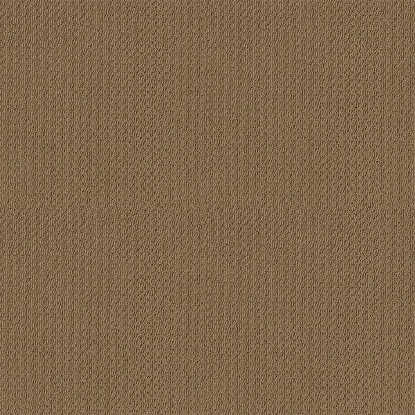 Lifeproof Lightbourne - Chestnut - Brown 39.3 oz. Nylon Loop Installed Carpet
