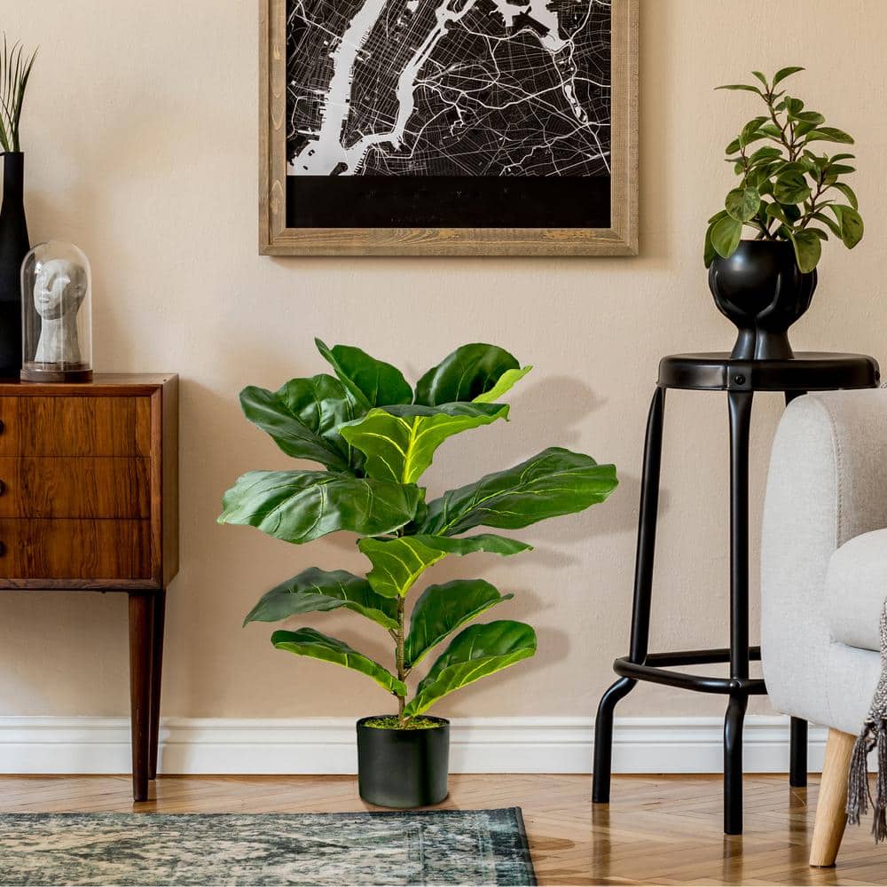 Lush 30" Variegated Green Fiddle Leaf Fig in Black Plastic Pot
