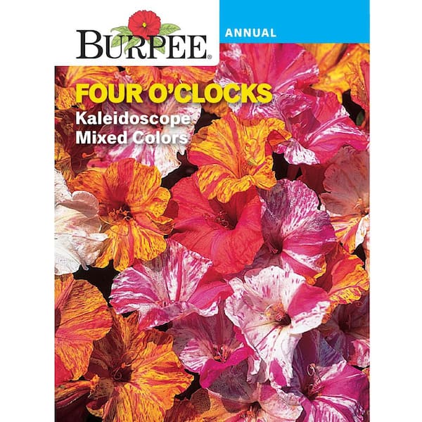 Four O'clock Kaleidoscope Mixed Colors Seed