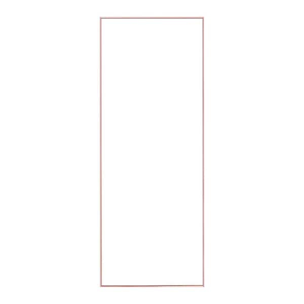 Unbranded 22 in. W x 65 in. H Rectangular Aluminum Framed Wall Mount or Floor Standing Modern Decorative Bathroom Vanity Mirror