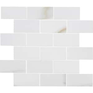 Aria Bianco 12 in. x 12 in. x 10 mm Polished Porcelain Mosaic Tile (8 sq. ft./Case)