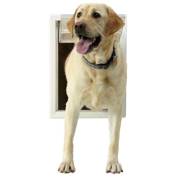 how big should a dog door be for a lab