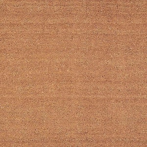 Brown 36 in. x 24 in. Coir Non-Slip Indoor/Outdoor Door Mat