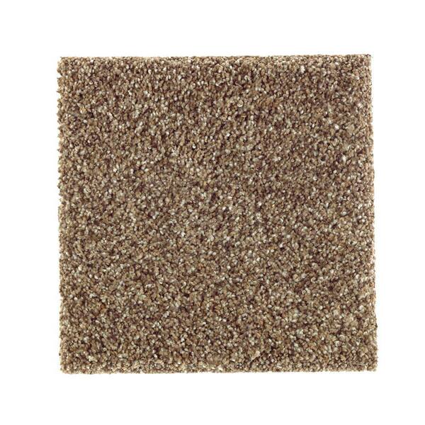 TrafficMaster Carpet Sample - Sachet II - Color Squirrel Nest Texture 8 in. x 8 in.