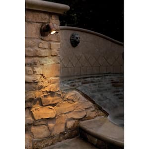 Myra 1-Light Bronze Outdoor Wall Lantern Wall Sconce