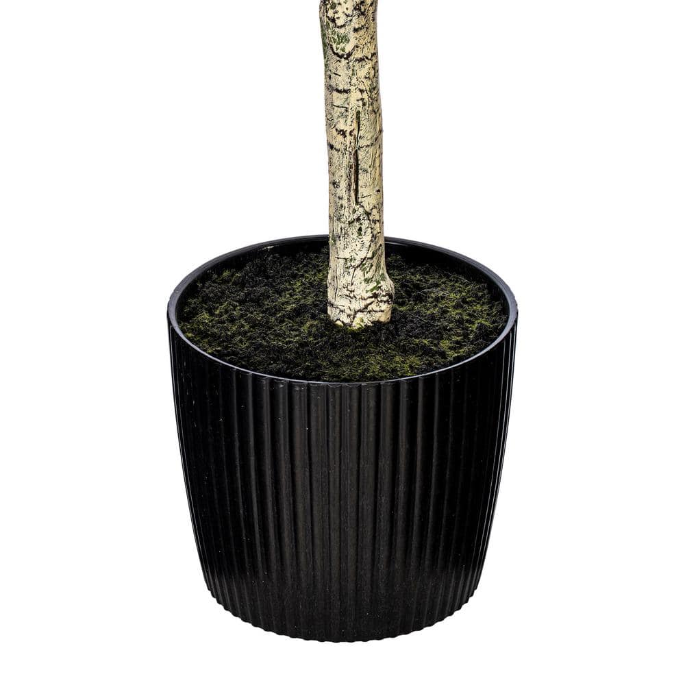 Lush Lifelike Potted Olive Tree with 56 Olives - 63" Height