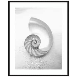 "Pearl Nautilus Shell Cut In Half" 1-Piece Wood Framed Black and White Nature Photography Wall Art 41 in. x 33 in.