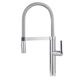BLANCOCULINA Single Handle Pull Down Sprayer Kitchen Faucet in Polished Chrome