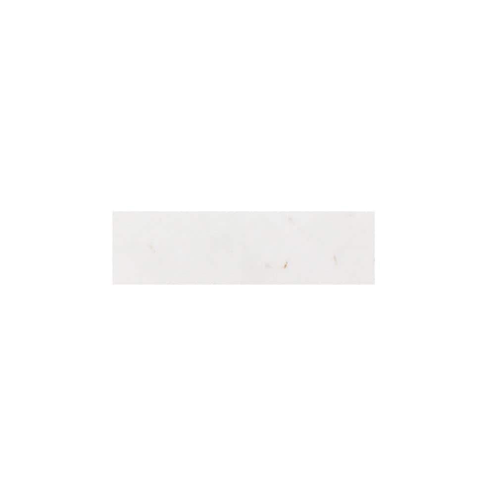 Take Home Tile Sample - Thassos White 4 in. x 6 in. Polished Subway Marble Wall and Floor Tile price history on PriceWatchPro