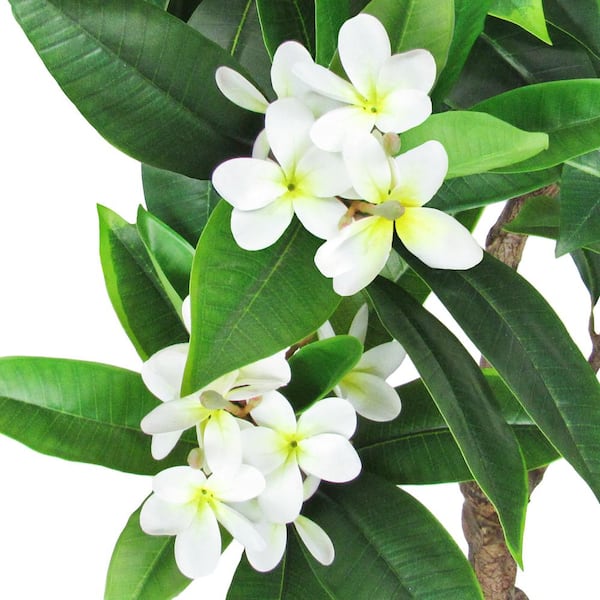 4 .75 ft. Real Touch Tropical Artificial Plumeria Tree in Pot
