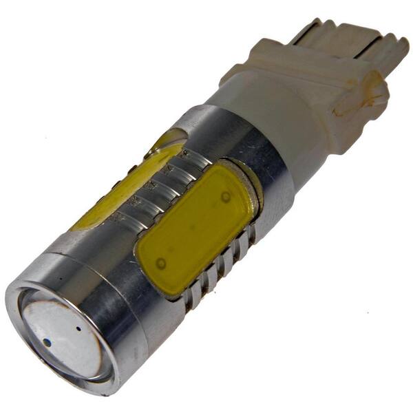 Dorman Tail Light Bulb