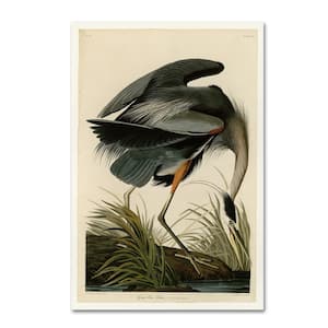 Great Blue Heron by John James Audobon Floater Frame Animal Wall Art 12 in. x 19 in.