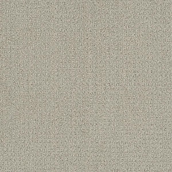 TrafficMaster Tailgate Classic - Mustang - Beige 28 oz. SD Polyester Pattern Installed Carpet