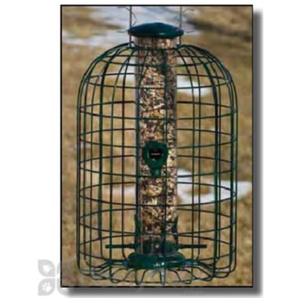 Grackle Proof Cage Bird Feeder
