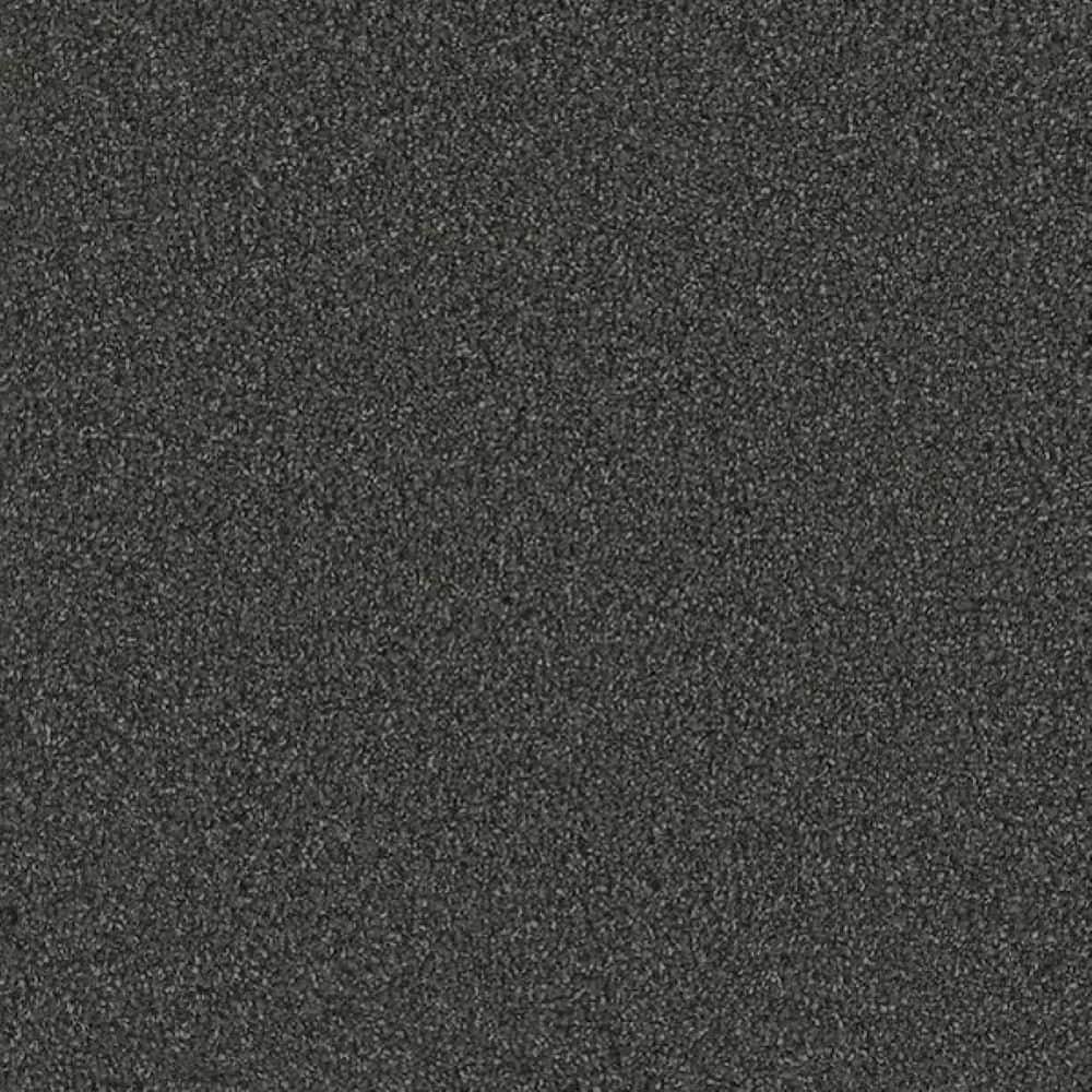 8 in. x 8 in. Texture Carpet Sample-Meringue I-Color Pillowy price history on PriceWatchPro