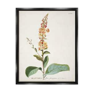 Botanical Plant Illustration Flowers Design by World Art Group Floater Frame Nature Wall Art Print 31 in. x 25 in. . . .