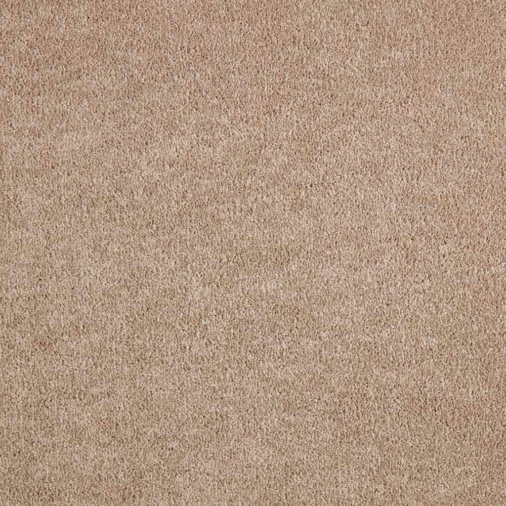 Home Decorators Collection Gemini II- Color Aberdeen Texture Beige