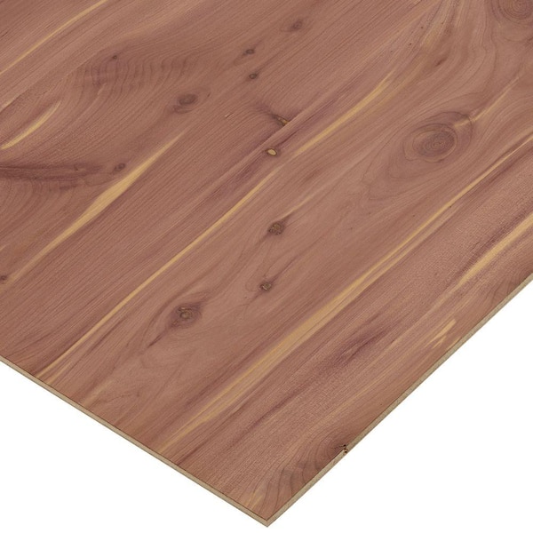 Columbia Forest Products 1/4 in. x 4 ft. x 4 ft. PureBond Aromatic Cedar Plywood Project Panel (Free Custom Cut Available)