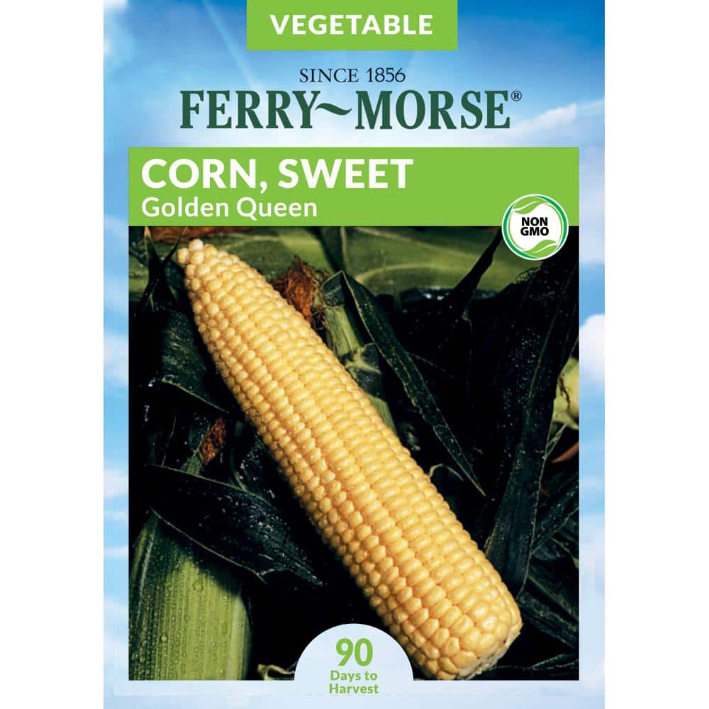 Ferry-Morse Sweet Corn Golden Queen Fruit Seed 4191 - The Home Depot Ferry-Morse Sweet Corn Golden Queen Fruit Seed 4191 - The Home Depot