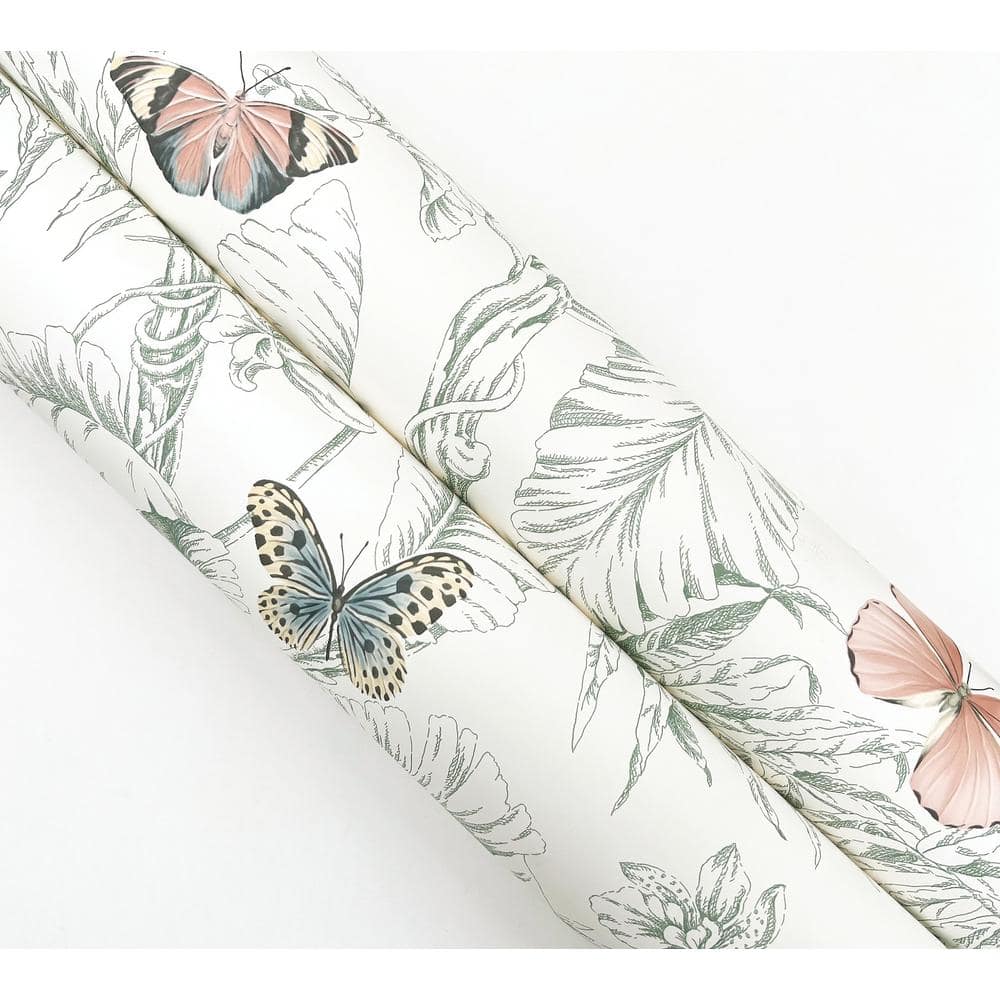 Blush and Green Tropical Butterfly Wallpaper