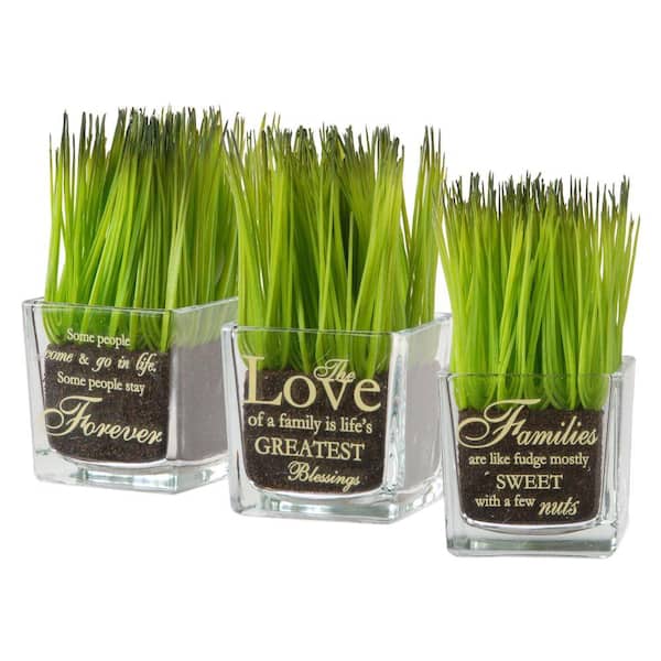 National Tree Company Artificial Assortment-Square Glass Pot Printed Forever, The Love and Families
