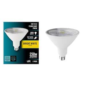 250-Watt Equivalent PAR38 ENERGY STAR Dimmable LED Light Bulb Bright White (1-Pack)