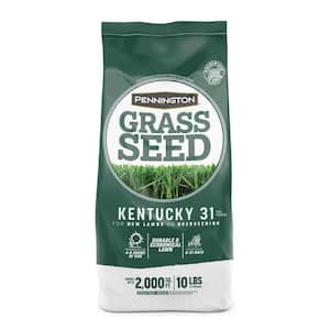 Kentucky 31 Tall Fescue 10 lb. 2,000 sq. ft. Grass Seed