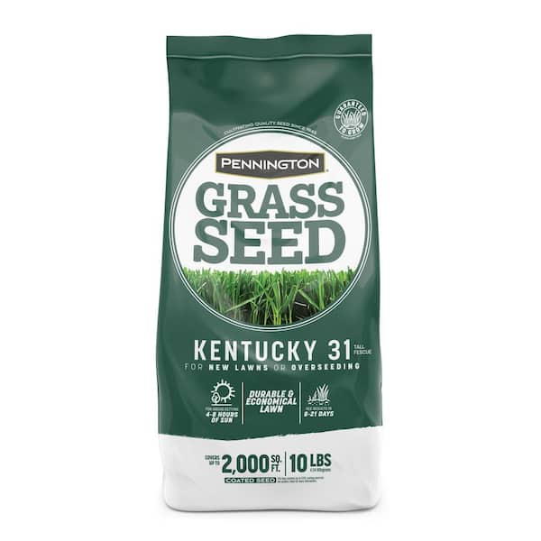 Pennington Kentucky 31 Tall Fescue 10 lb. 2,000 sq. ft. Grass Seed