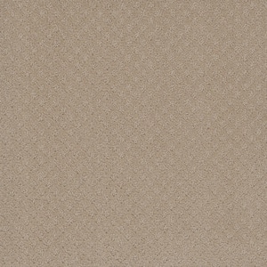 Camelia Lane - Oakdale - Beige 28 oz. SD Polyester Loop Installed Carpet