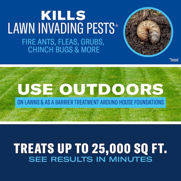 20 lbs. Granules 24-Hour Lawn Insect and Fire Ant Killer (4-Pack)