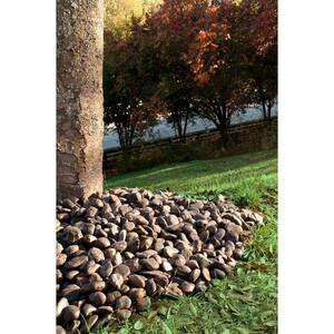 Black Polished Pebbles 0.5 cu. ft . per Bag (0.25 in. to 0.75 in.) Bagged Landscape Rock (28 Bags / Covers 14 cu. ft.)