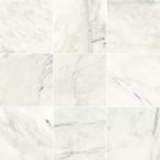 Greecian White 12 in. x 12 in. Honed Marble Floor and Wall Tile (5 sq. ft./Case)