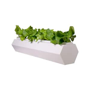 36 in. White Hydroponic Hex Planter with Lid and Grow Kit