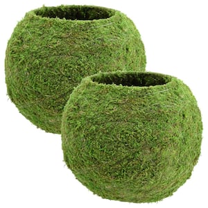 Kokedama 12 in. x 10-1/2 in. Metal Sphere Moss Ball Planter (2-Pack)