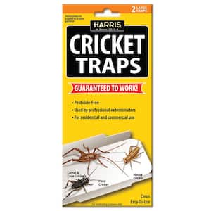 Cricket Traps (2 Pack)